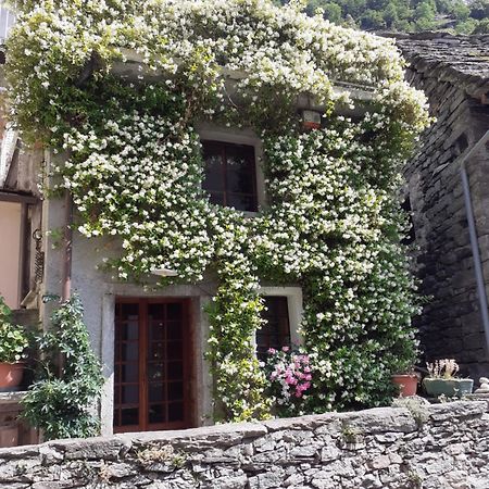 Tana del Paradiso Baceno Bagian luar foto
