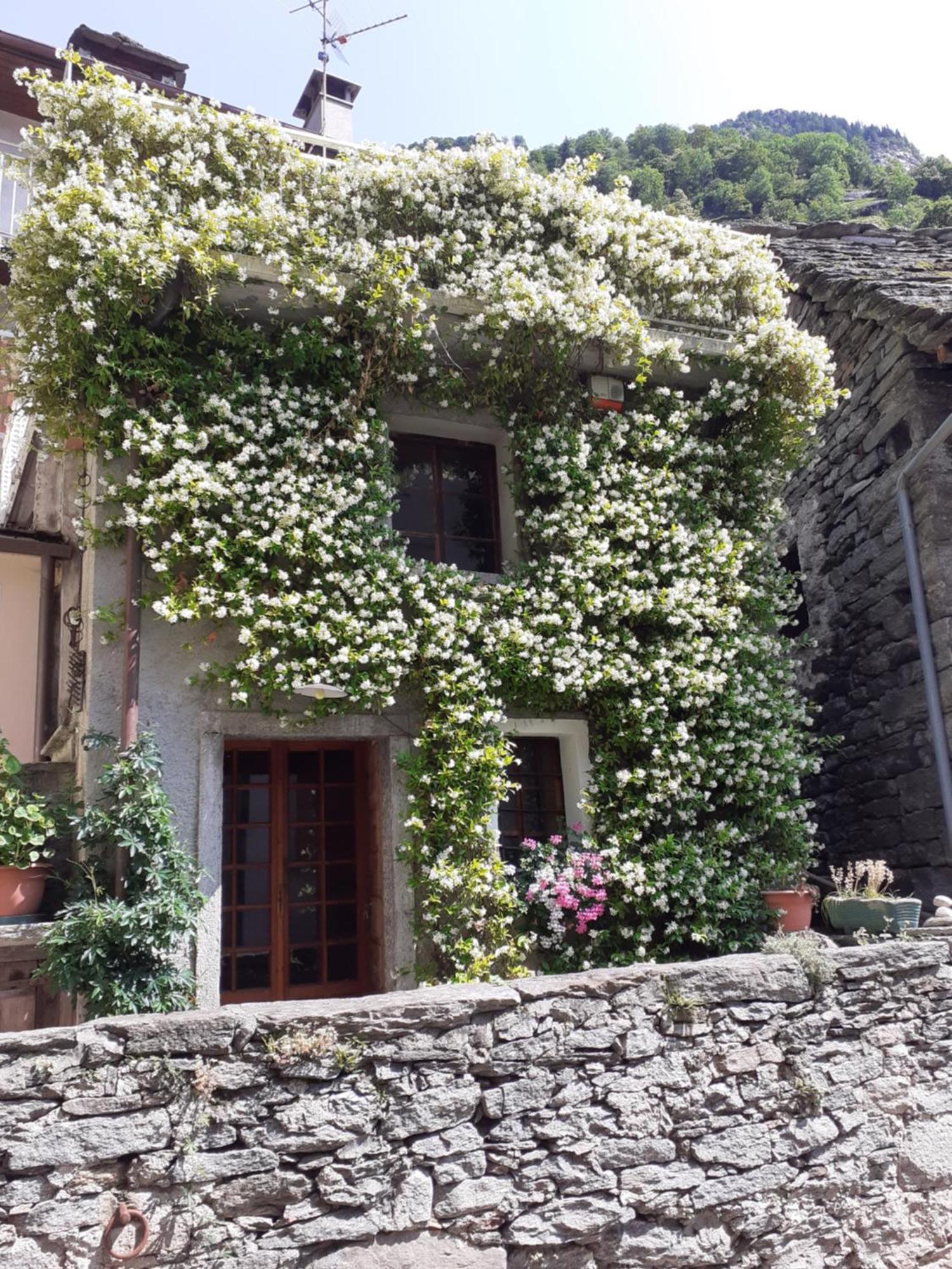 Tana del Paradiso Baceno Bagian luar foto